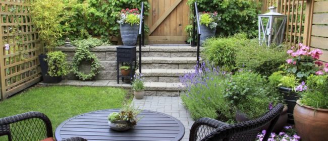 A Guide To Making Your Backyard More Eco-Friendly