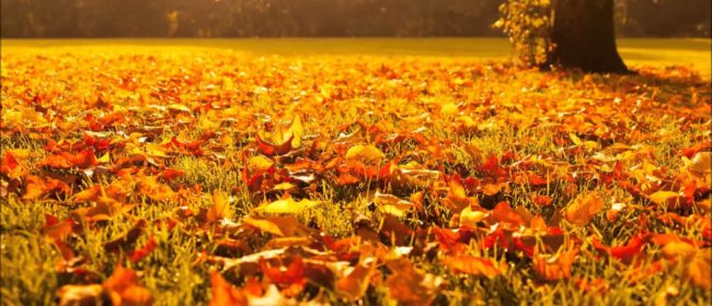 How To Relax This Fall