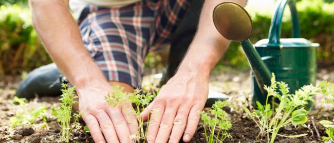 Investar USA – Why You Should Try Your Hand At Gardening