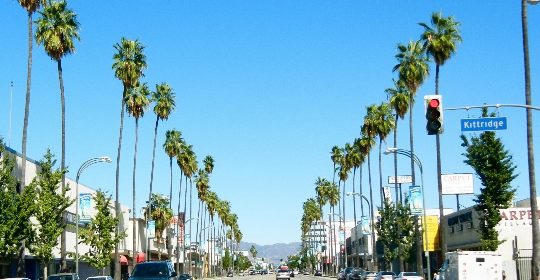 Famous LA Streets That Make You Love Driving