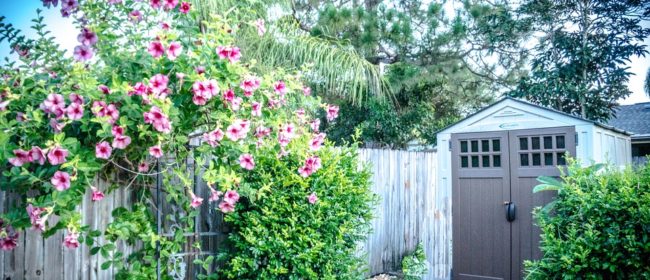 5 Factors to Consider When Shopping for a Garden Shed