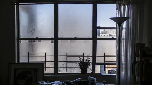 5 Reasons to Get a Dehumidifier