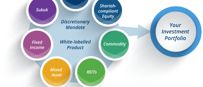 What are some of the things that every investor should look for when investing in investment portfolio?