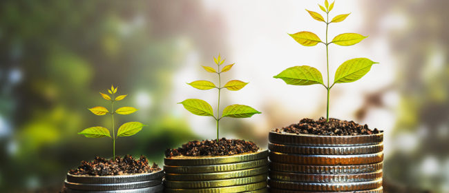4 Ways To Grow Your Wealth in 2020
