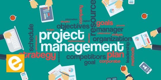 What are the different Project Management Processes?