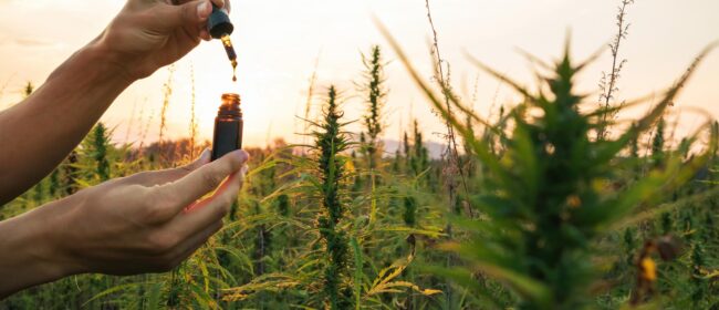 CBD Use For Different Ailments