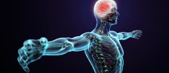 Ways to Develop Your Nervous System