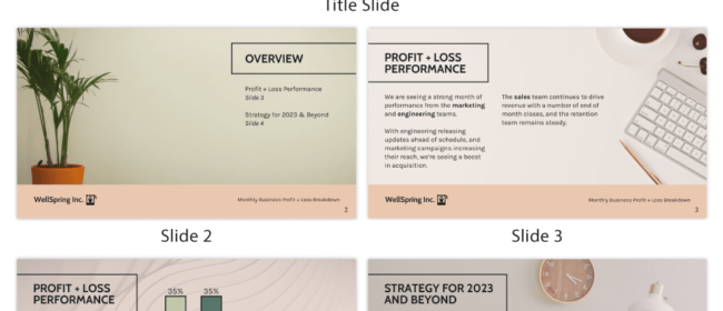 Meaningful Presentation for Potential Investors: Attractive Presentation Deck